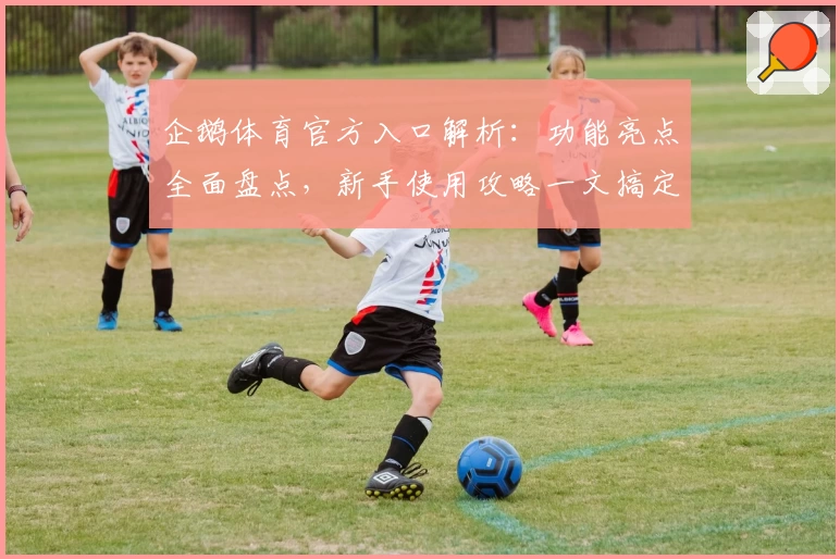 企鹅体育官方入口解析：功能亮点全面盘点，新手使用攻略一文搞定