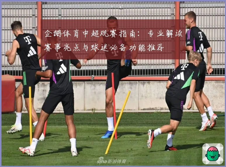 企鹅体育中超观赛指南：专业解读赛事亮点与球迷必备功能推荐
