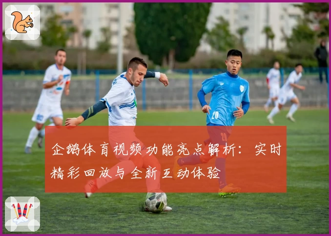 企鹅体育视频功能亮点解析：实时精彩回放与全新互动体验