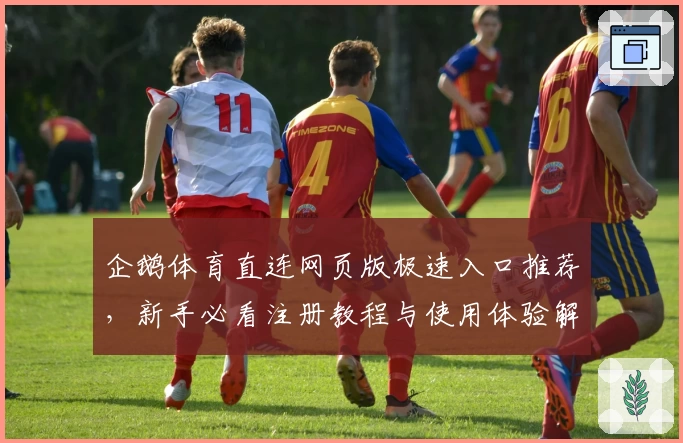 企鹅体育直连网页版极速入口推荐，新手必看注册教程与使用体验解析