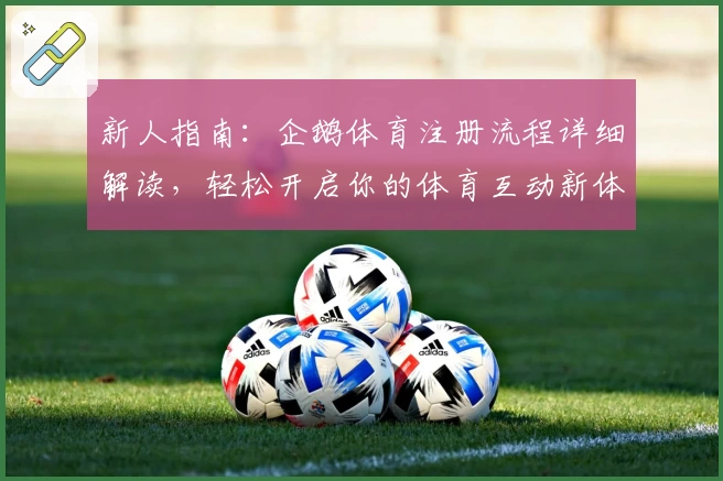 新人指南：企鹅体育注册流程详细解读，轻松开启你的体育互动新体验