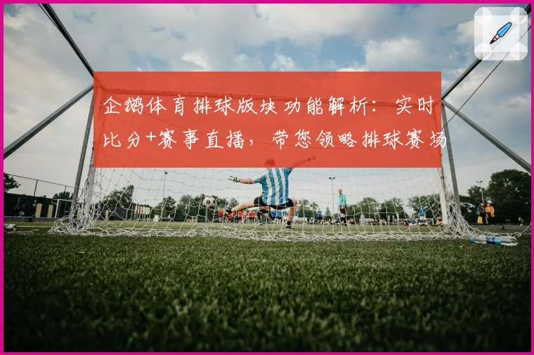 企鹅体育排球版块功能解析：实时比分+赛事直播，带您领略排球赛场风采