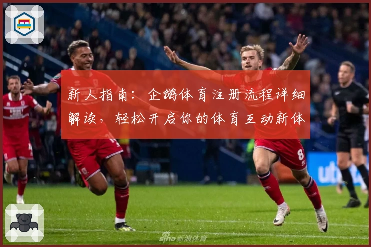 新人指南:企鹅体育注册流程详细解读,轻松开启你的体育互动新体验