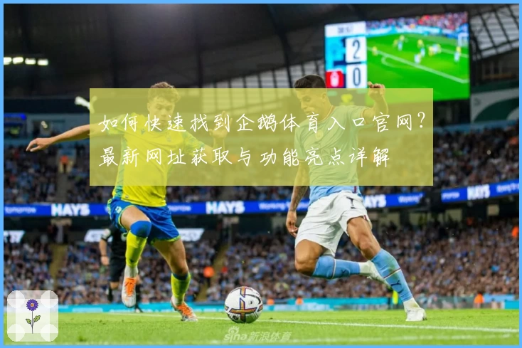 如何快速找到企鹅体育入口官网?最新网址获取与功能亮点详解