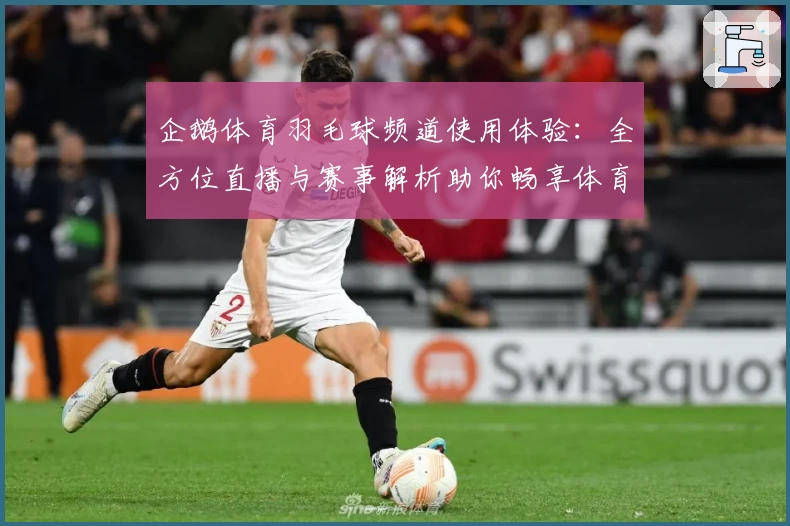 企鹅体育羽毛球频道使用体验：全方位直播与赛事解析助你畅享体育激情